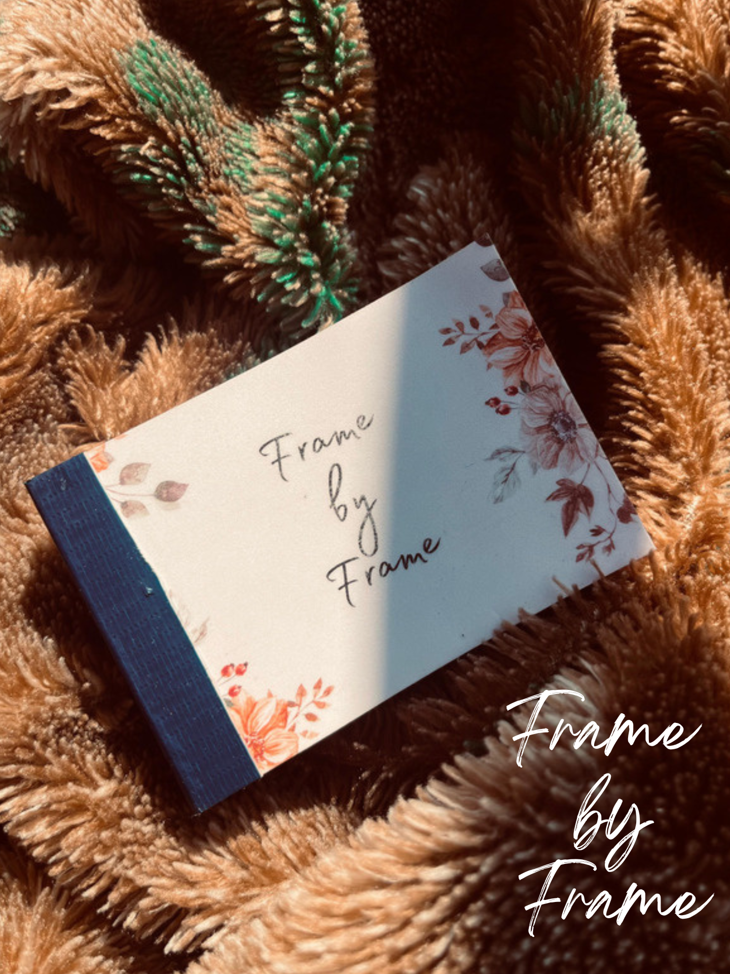 Frame by Frame Flip Book